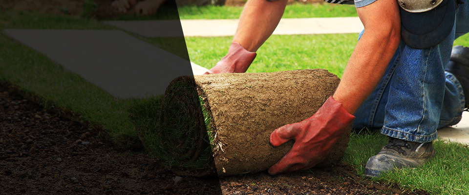 Oak Grove Landscapers